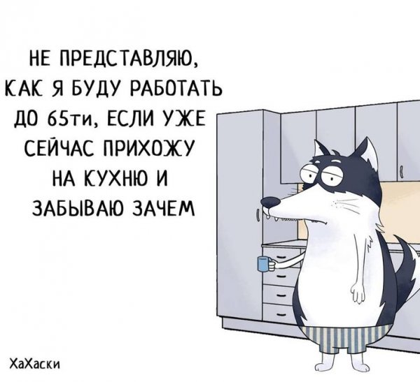 Цитаты Хахаски