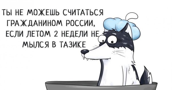 Высказывания про хаски