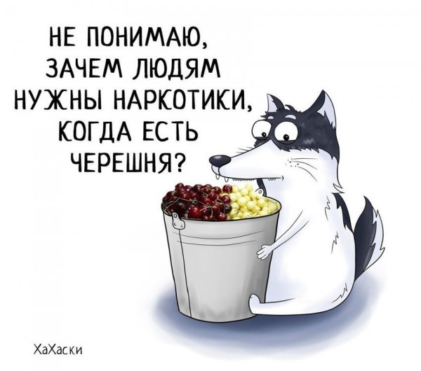 Черешня цитаты