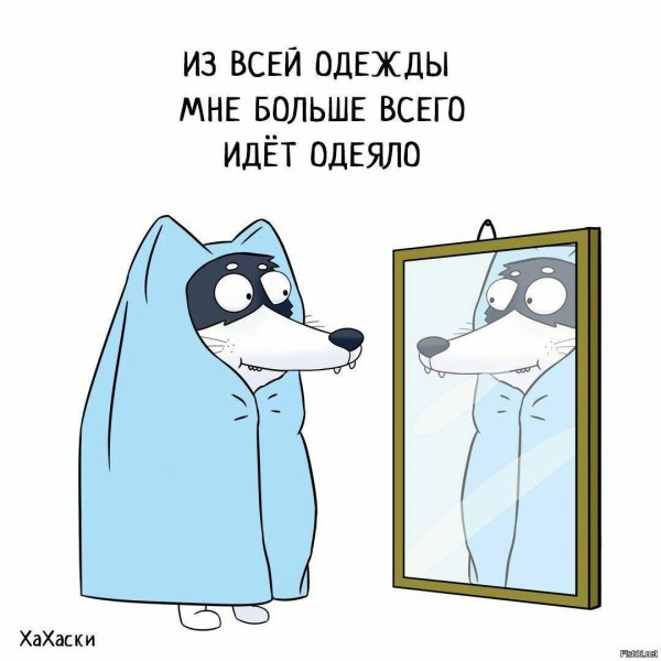 Хахаски доктор
