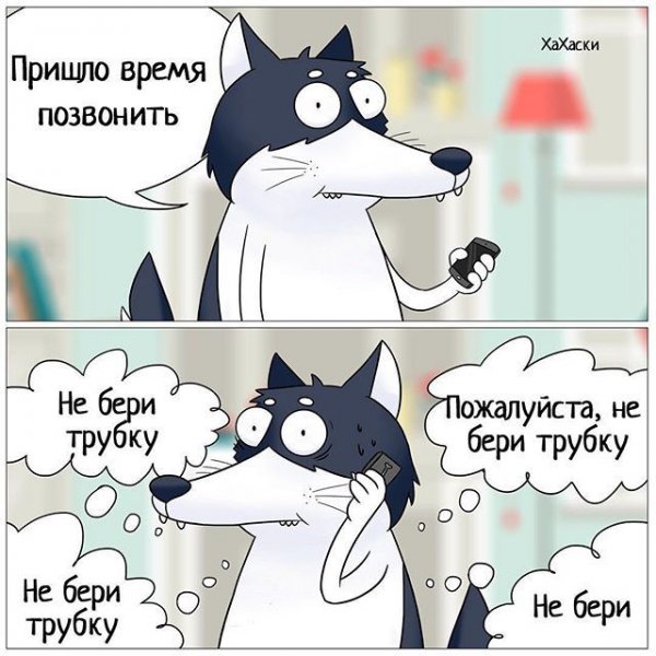 Ха ха хаски