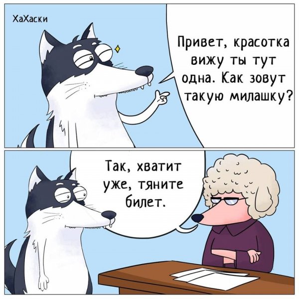 Анекдоты про хаски