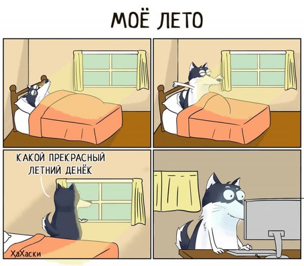 Жизненные ситуации смешные