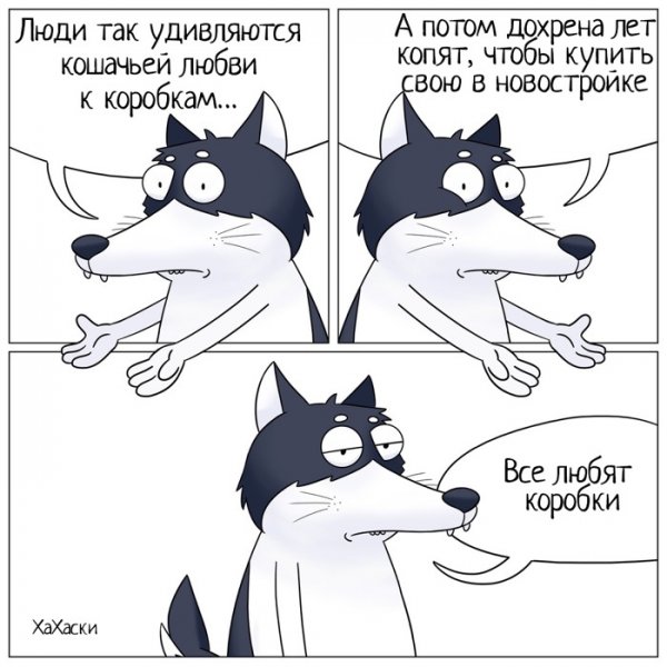 Соционика Штирлиц и Достоевский