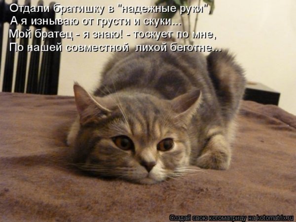 Грущу по тебе