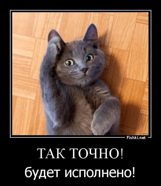 Так точно