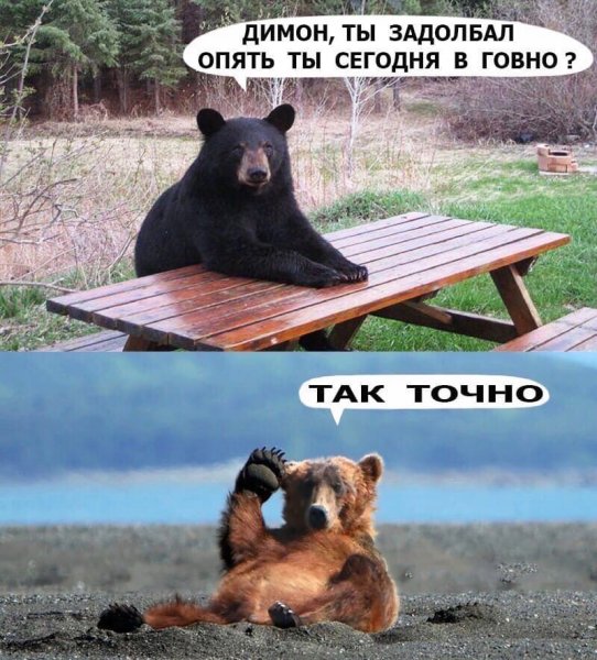 Димон пьяный картинки