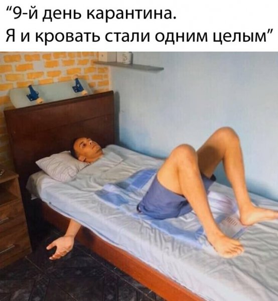 Прикольные картинки после