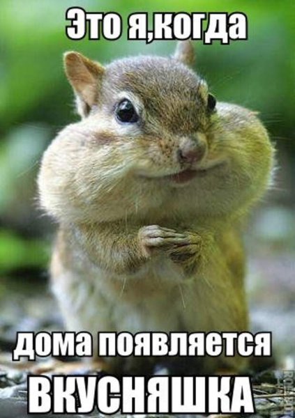 Приколы с надписями
