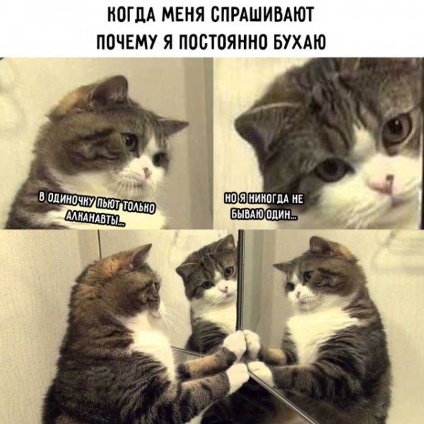 Мемы про себя