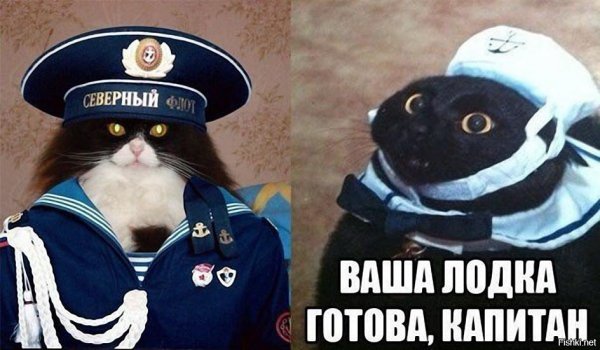 Ваша лодка готова Капитан