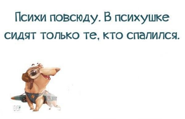 Мы психи