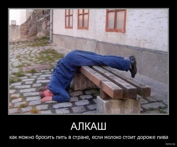 Прикольные картинки про алкоголиков