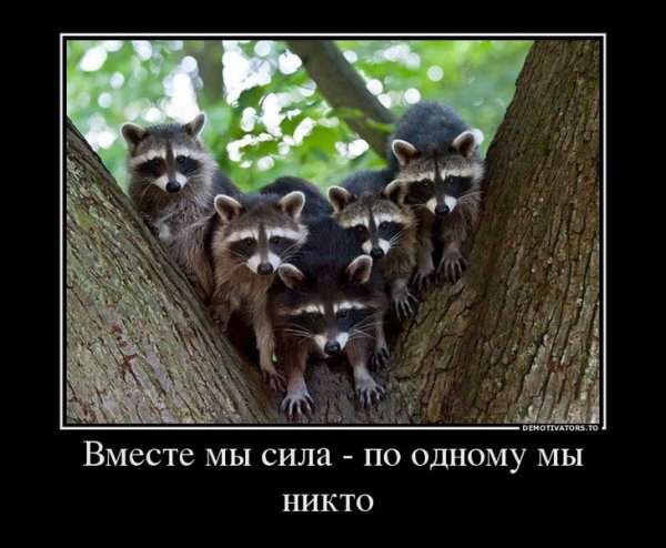 Вместе мы сила картинки