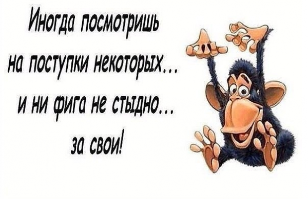 Прикольные фразы