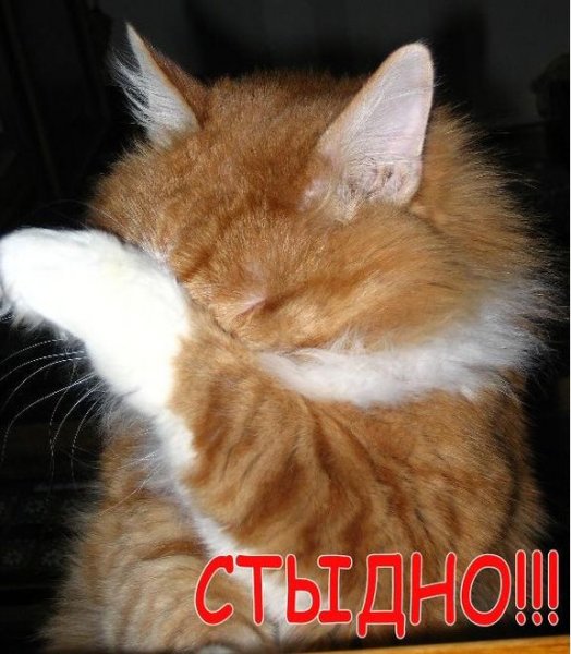 Ой стыдно мне