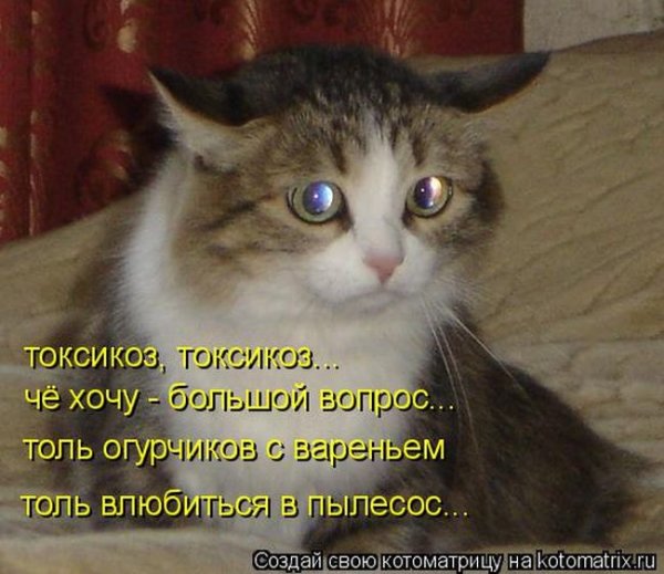 Не надо меня обижать