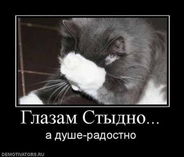 Стыдно мне стыдно