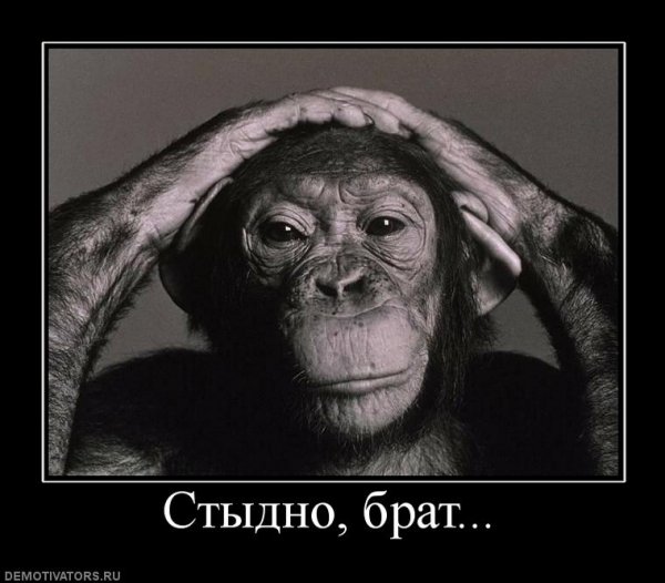 Стыдно картинки