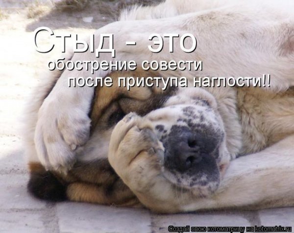 Стыдно картинки