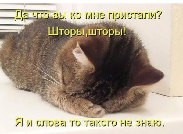 Открытка мне стыдно за свое поведение