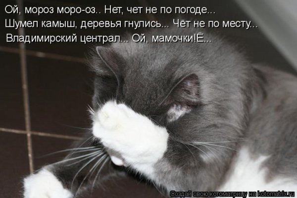 Открытка мне стыдно