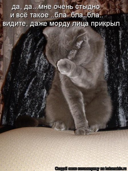 Очень, очень стыдно.