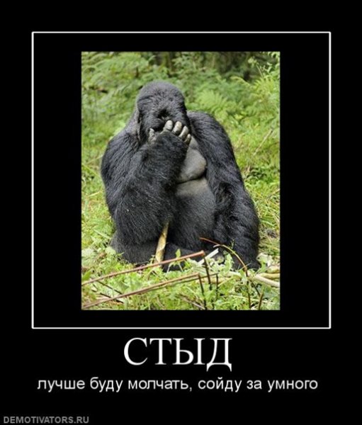 Шутки про стыдно