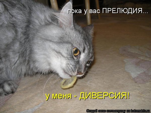 Стыдно и смешное фото