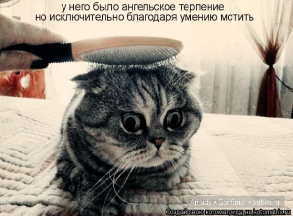 Терпение картинки