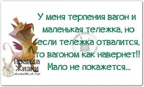 Смешное про терпение