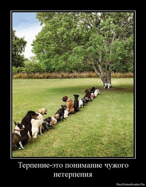 В очередь сукины дети
