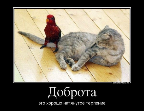 Доброта прикол