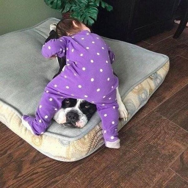 Смешное про терпение