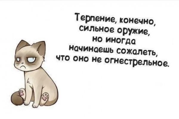 Шутки про терпение