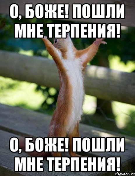 Терпение Мем