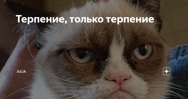Терпение только терпение