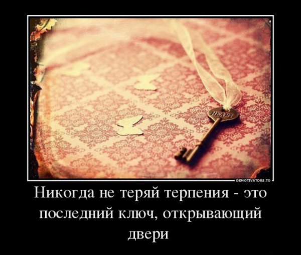 Терпение демотиватор