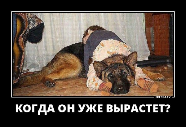 Терплю картинки прикол