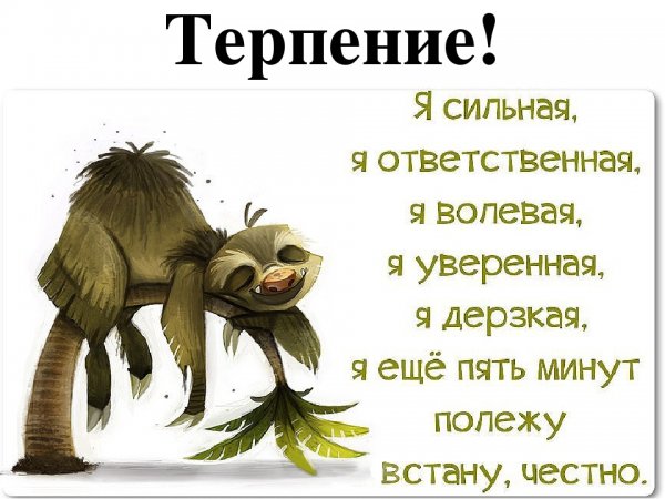 Терпение цитаты смешные
