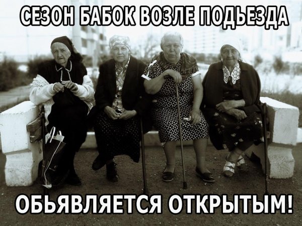 Бабки Сплетницы на лавочке