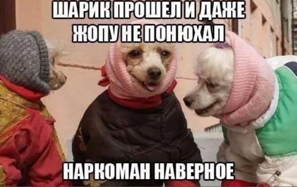 Февральский приветик
