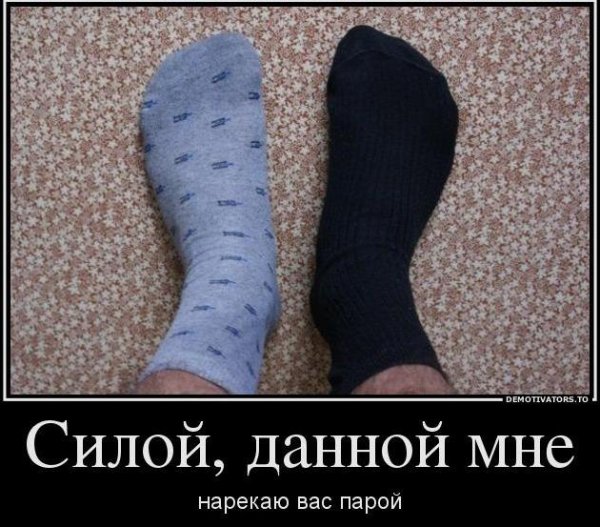 Приколы с носками