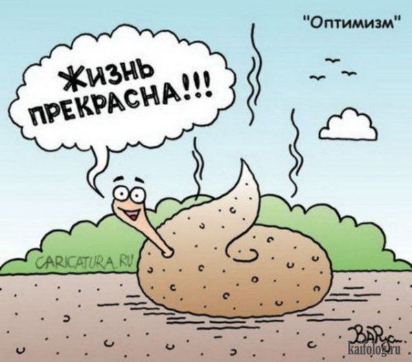 Оптимизм карикатура