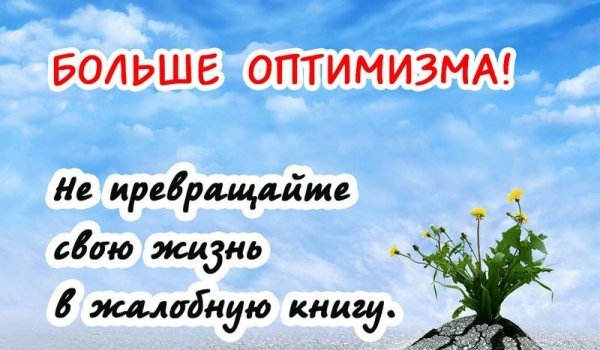 Афоризмы оптимиста