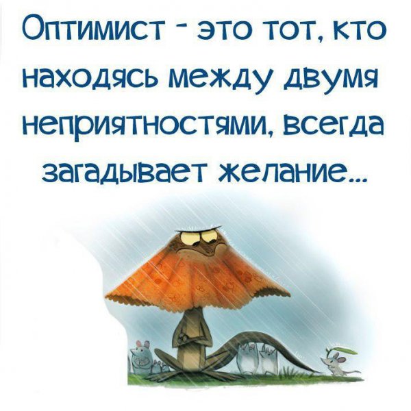 Фразы оптимиста