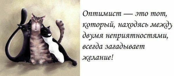 Афоризмы про оптимизм
