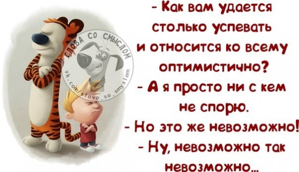 Оптимистичные цитаты с юмором