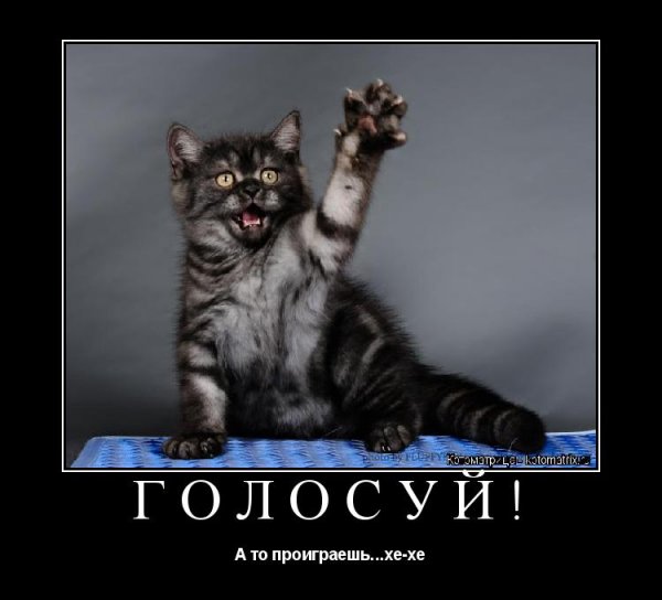 Голосовать прикол