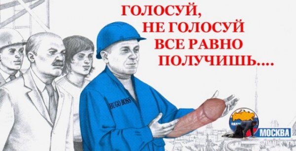 Голосуй не голосуй
